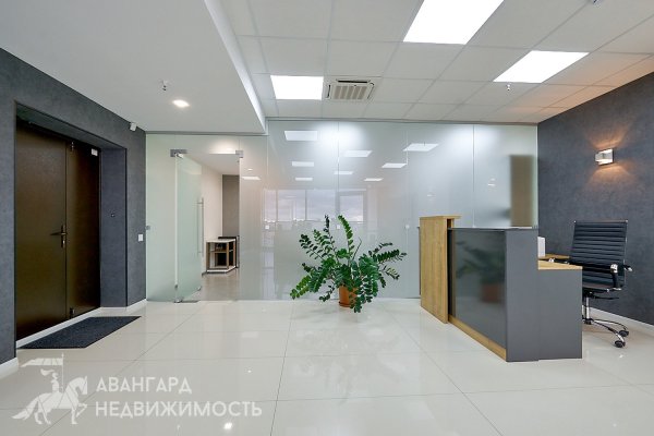 Офис для вашего бизнеса. БЦ «Royal Plaza» - фото 10