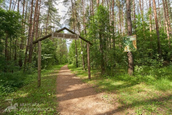 Аренда офисов от 40 м2 до 800 м2 - фото 15
