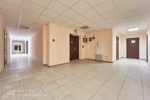 Аренда офисов от 35 кв. м в центре г. Минска - фото 2