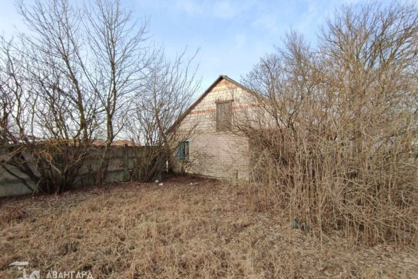 Продажа земельного участка в Минском районе - фото 3