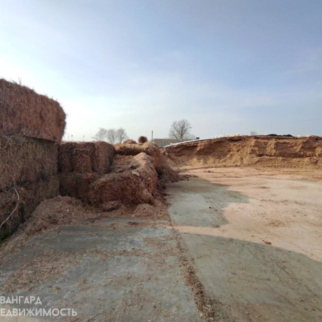 Фотография Продажа земельного участка в Минском районе - фото 8