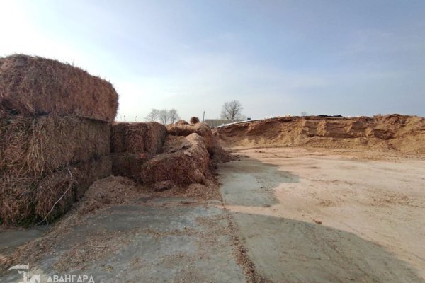Продажа земельного участка в Минском районе - фото 8