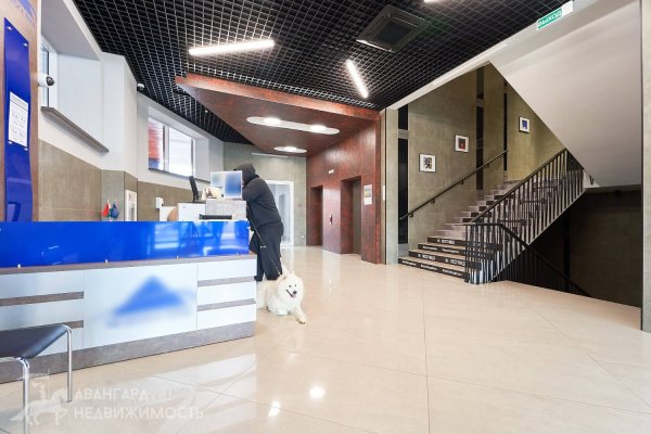 Аренда кабинетов площадью 27,5 м² – 79,1 м² (ул. Лучины, 7) - фото 8