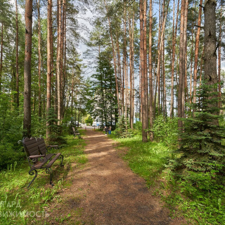Фотография Аренда офисов от 40 м2 до 800 м2 - фото 14