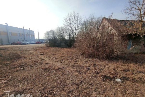 Продажа земельного участка в Минском районе - фото 4