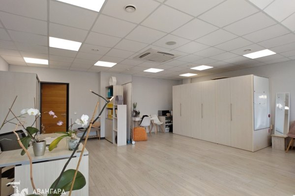 Продажа офиса 48,3 м² в центре г. Минска (ул. Зыбицкая, 4) - фото 6