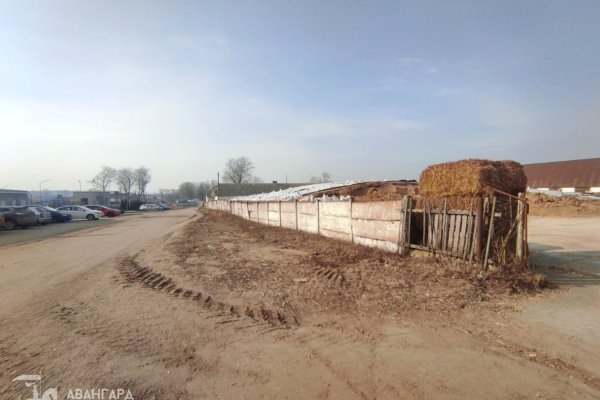 Продажа земельного участка в Минском районе - фото 10