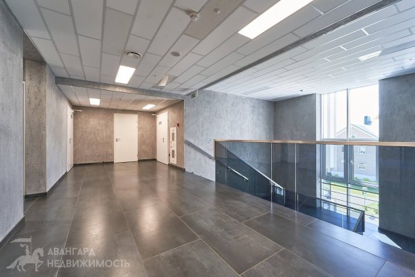 Аренда офисов 116 м2 - 236 м2 с кухней (ул. Сосновый бор, 2) - фото 11
