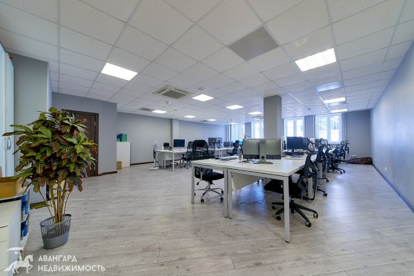 Продажа просторного офиса (г. Минск, ул. Зыбицкая, 6) - фото 1