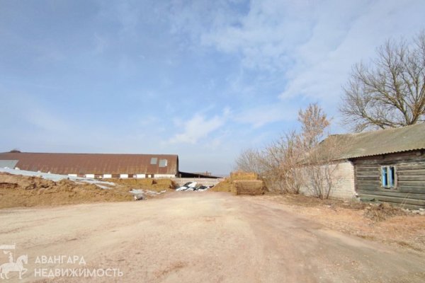 Продажа земельного участка в Минском районе - фото 1